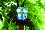 First Nature 3004 Globe Style Bird Bath and Waterer